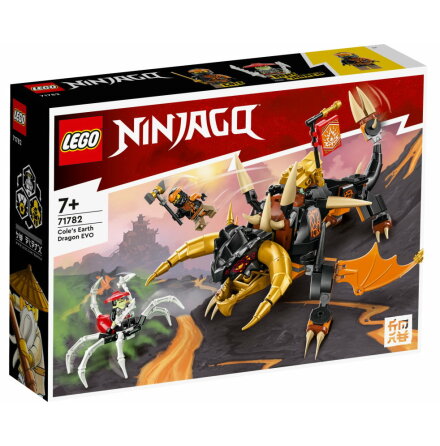 Lego Ninjago Coles jorddrake EVO