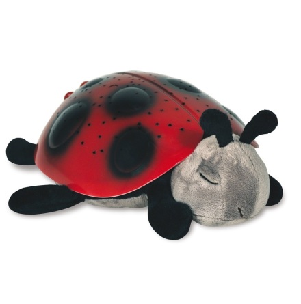 Twilight Ladybug, Red