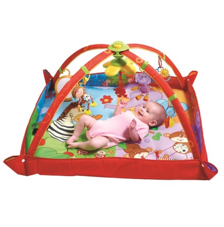 Tiny Love Babygym Move & Play