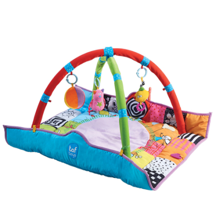 Taf Toys Newborn Gym