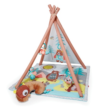 Skip Hop Camping Cubs Babygym