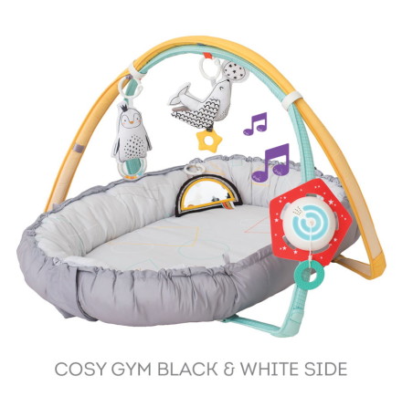 Taf Toys Musical Newborn Cosy Gym