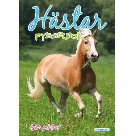 Pysselbok Hstar