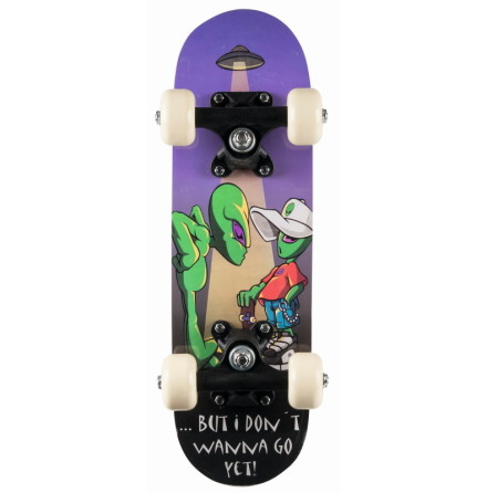 California Mini Skateboard